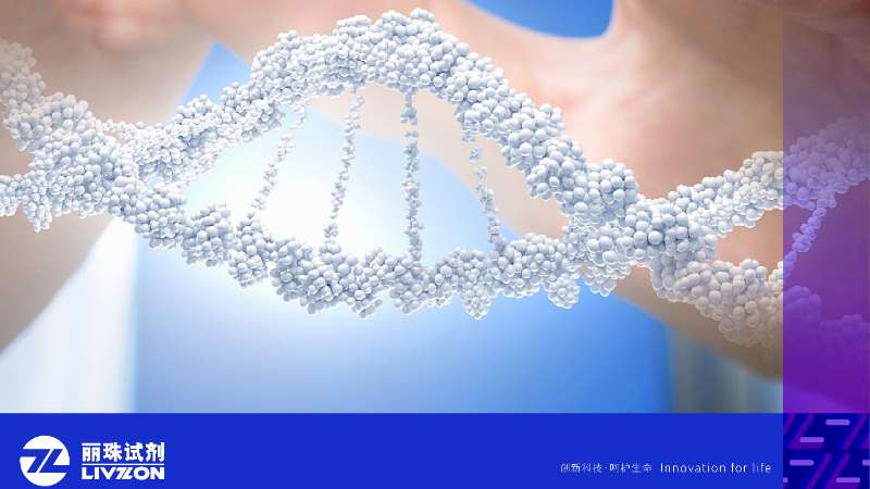 再获认可丨太阳成集团tyc122ccvip三款核酸检测产品满分通过国家室间质量评价