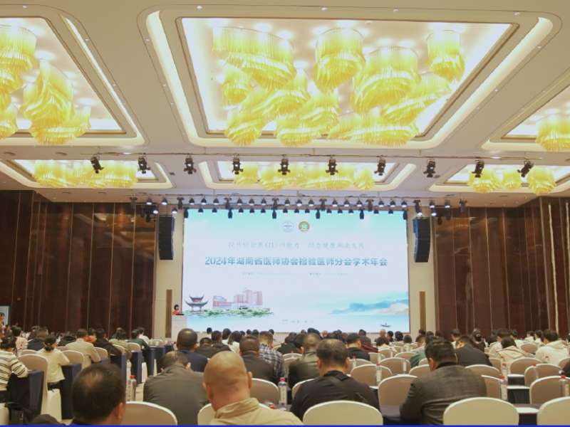 会议回顾丨精彩纷呈，太阳成集团tyc122ccvip亮相2024年湖南省医师协会检验医师分会学术年会