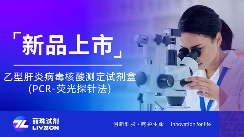 新品速报 | 乙型肝炎病毒核酸测定试剂盒(PCR-荧光探针法)全新上市！